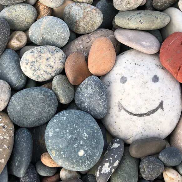 rocky shore with one stone having a happy face